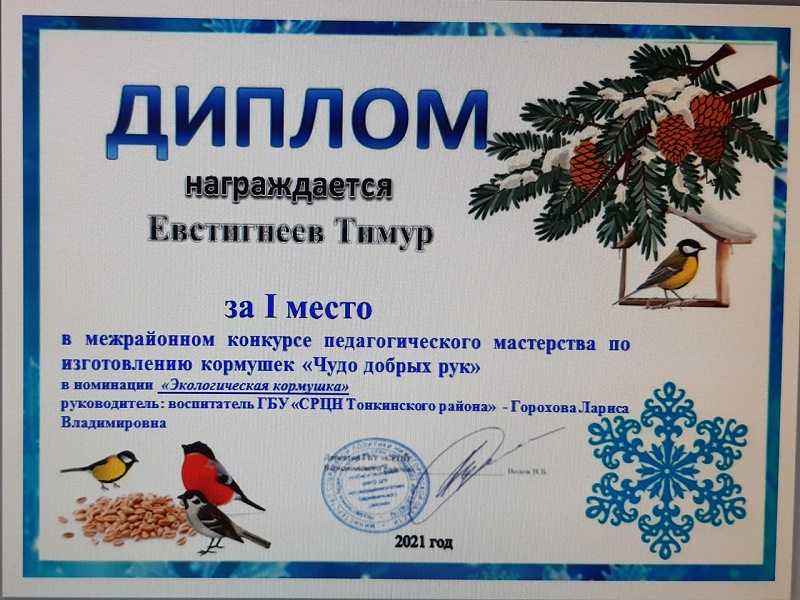 Межрайонный конкурс педагогического мастерства по изготовлению кормушек