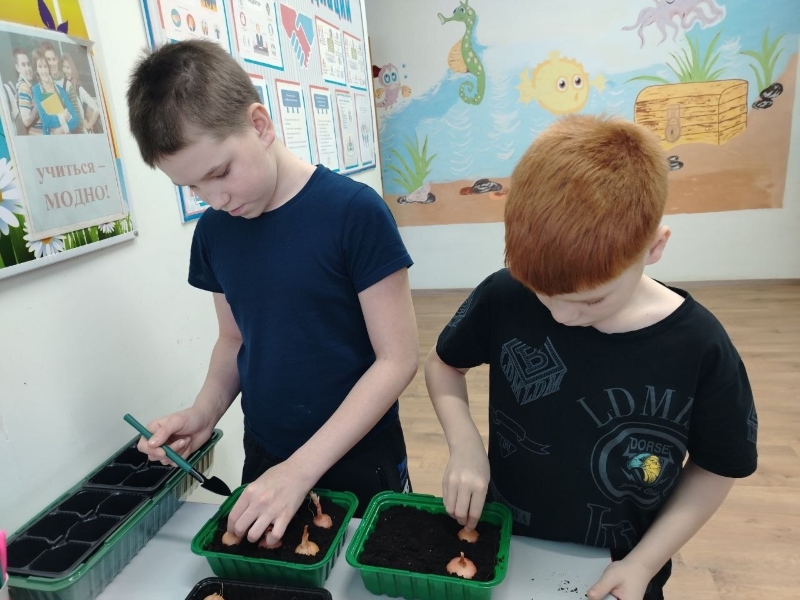 Огород на окне 