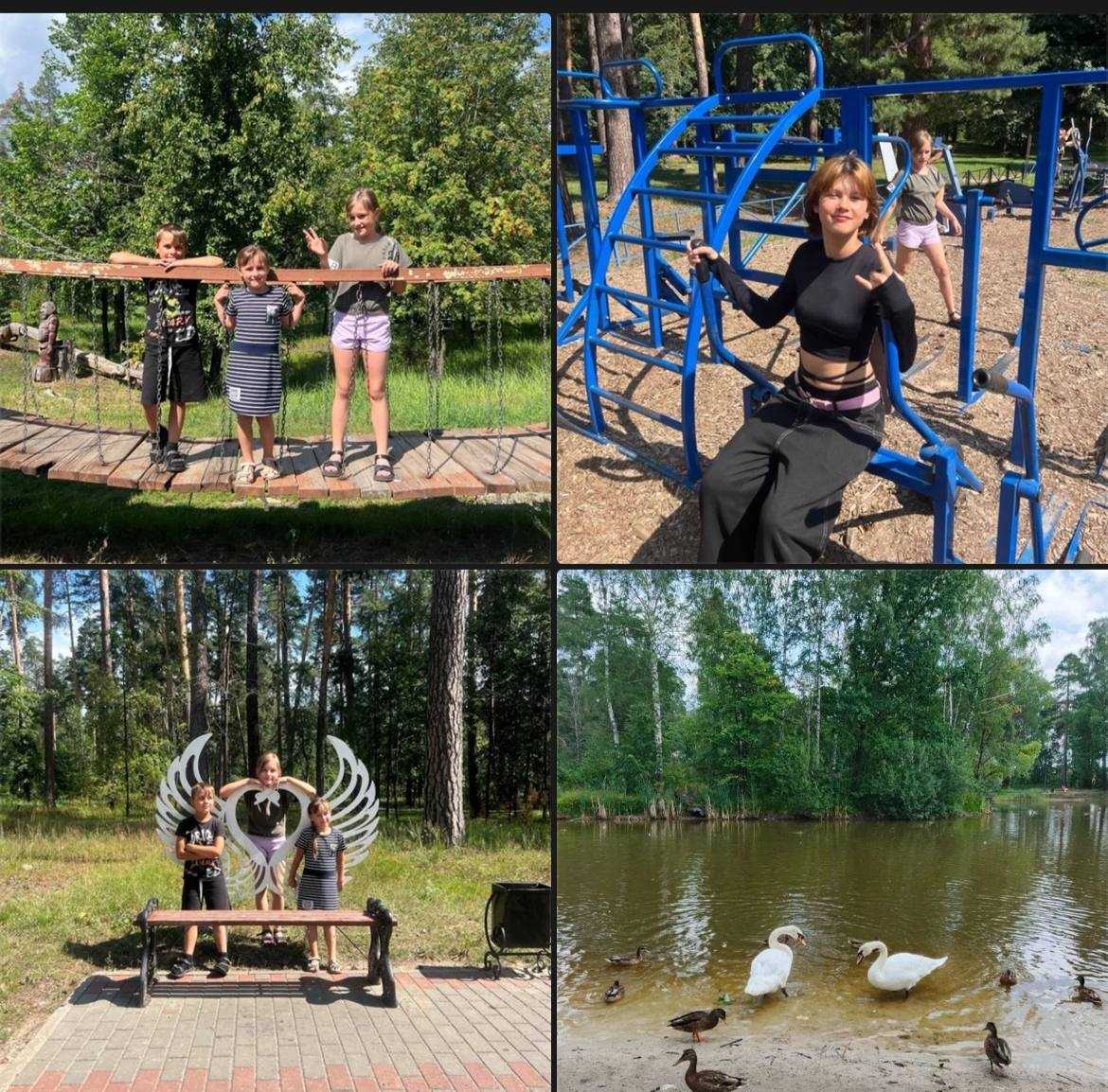Прекрасная прогулка