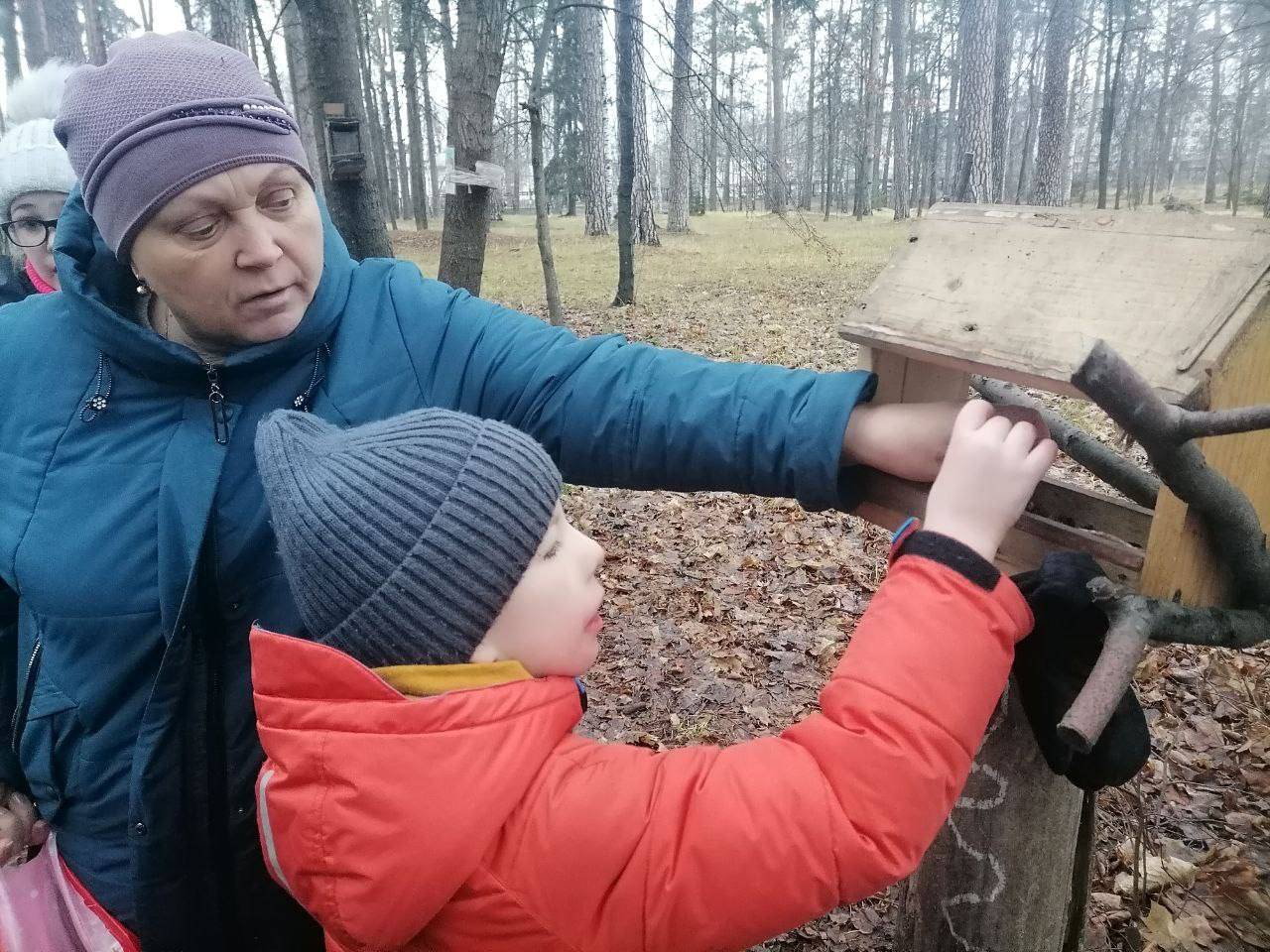 «Беличья столовая»: заботимся о лесных друзьях!