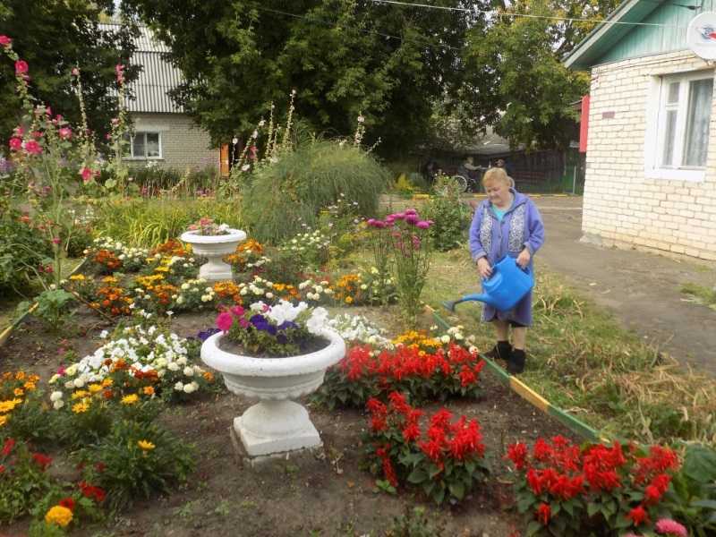 Гарденотерапия в доме-интернате