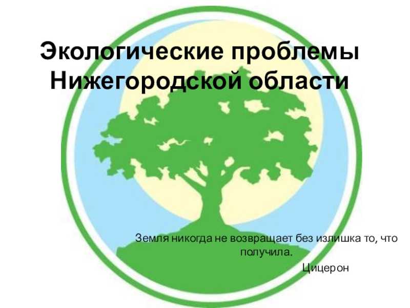 экологический час «Нижегородский край через призму экологии»