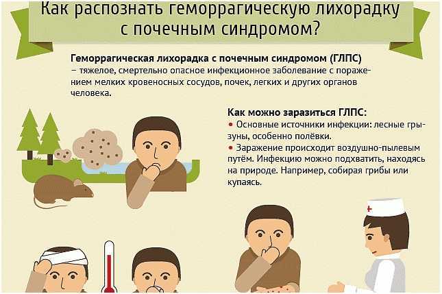 Профилактика ГЛПС