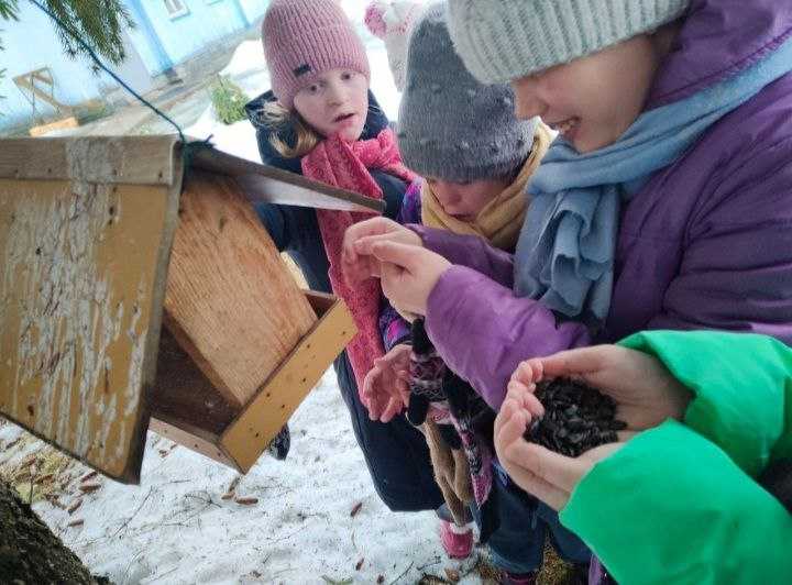 ПОКОРМИТЕ ПТИЦ ЗИМОЙ!