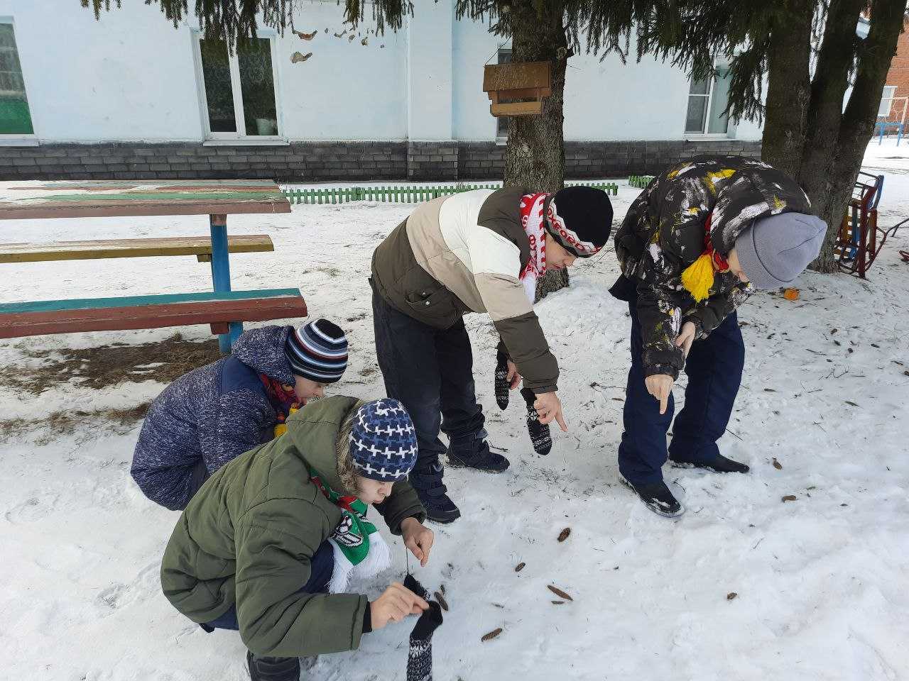 ПТИЧЬИ СЛЕДЫ